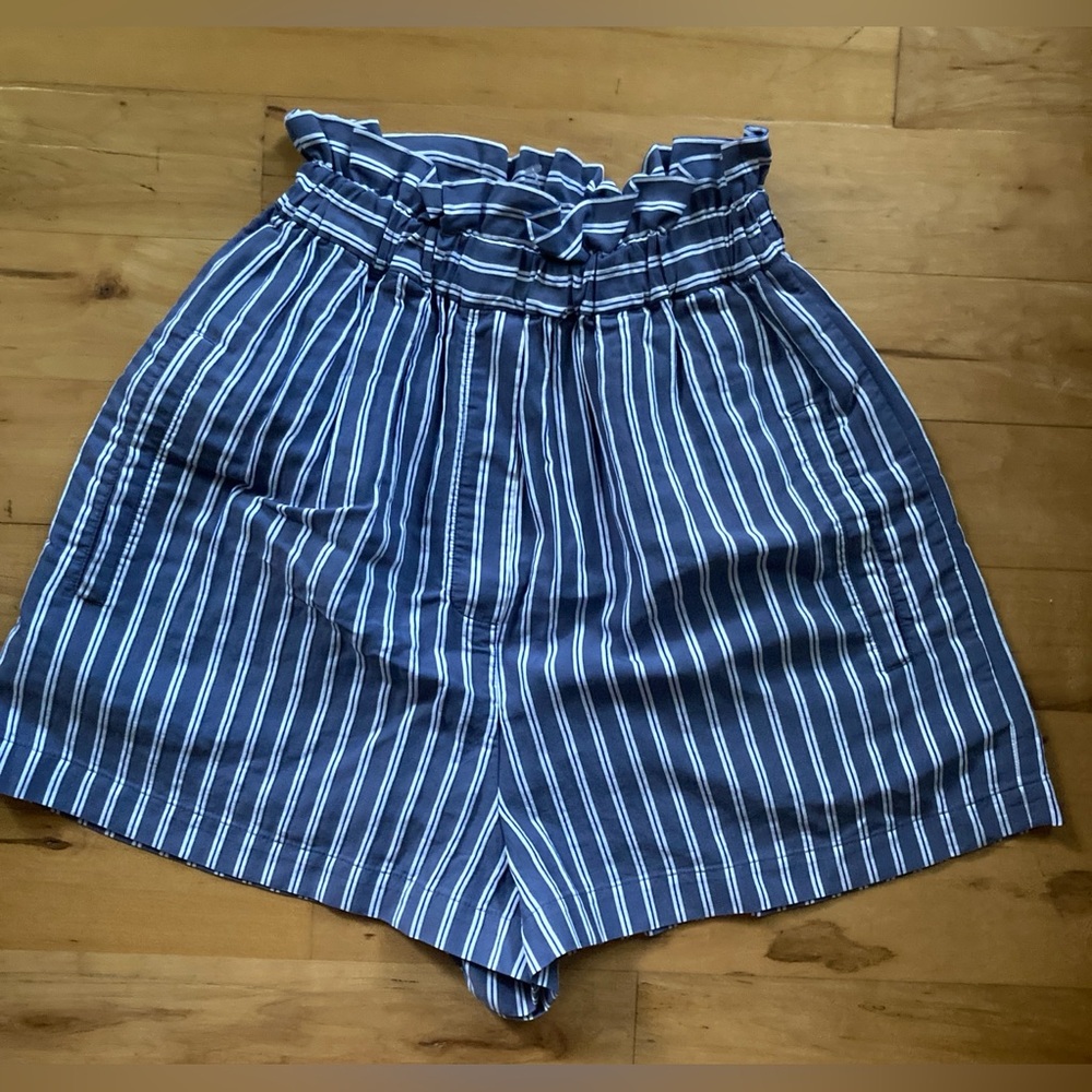 Tibi Slate Blue Striped Shorts Sz L